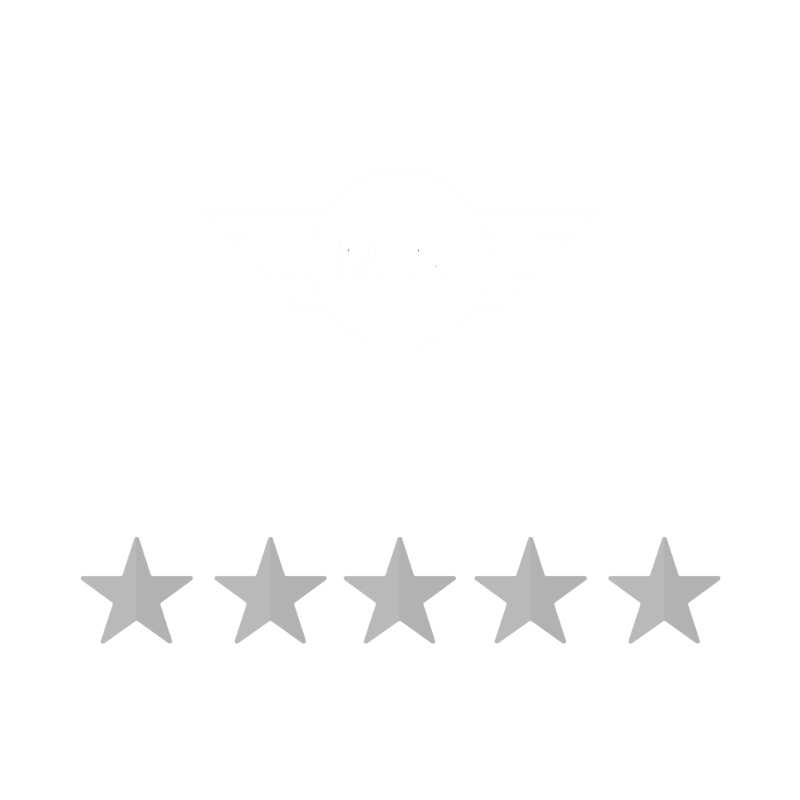Google Review MINI Gaia
